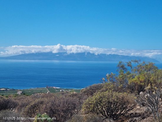  Finca en venta en Guía de Isora (Tenerife) 