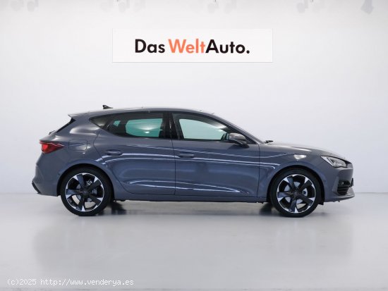 Cupra León 1.5 eTSI 110kW (150CV) DSG - Sabadell