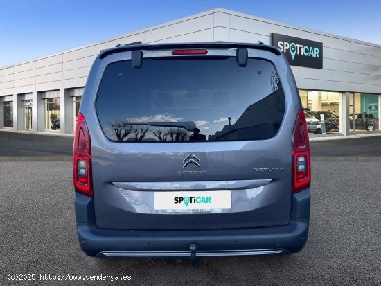 Citroën Berlingo  Talla XL BlueHDi 130 S&S 6v Shine - MALLA