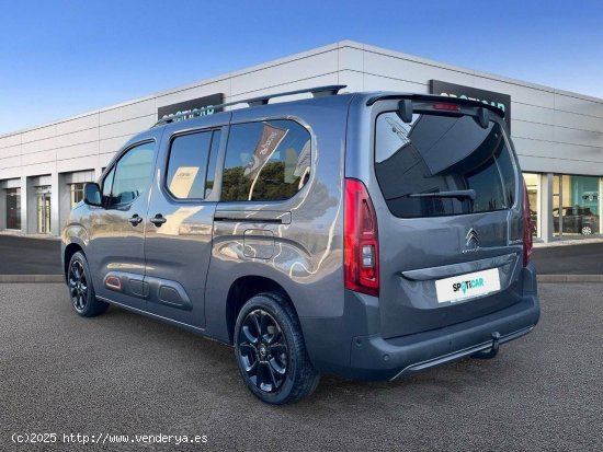 Citroën Berlingo  Talla XL BlueHDi 130 S&S 6v Shine - MALLA