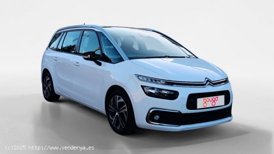 Citroën C4 Spacetourer 7 Plazas 1.5 BLUEHDI 96KW S&S LIVE 130cv 5P - Cartagena