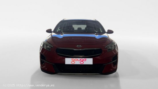 Kia XCeed TODOTERRENO 1.0 T-GDI 88KW CONCEPT 120 5P - Murcia