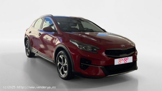 Kia XCeed TODOTERRENO 1.0 T-GDI 88KW CONCEPT 120 5P - Murcia