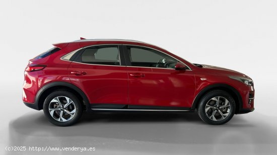 Kia XCeed TODOTERRENO 1.0 T-GDI 88KW CONCEPT 120 5P - Murcia