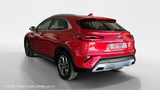 Kia XCeed TODOTERRENO 1.0 T-GDI 88KW CONCEPT 120 5P - Murcia