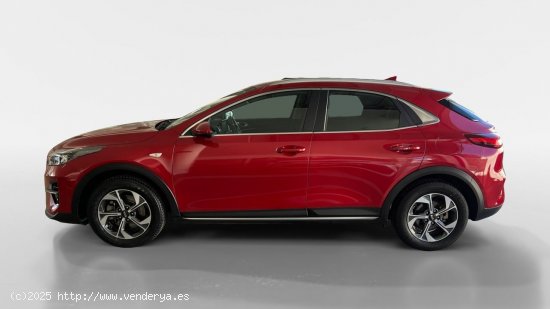 Kia XCeed TODOTERRENO 1.0 T-GDI 88KW CONCEPT 120 5P - Murcia