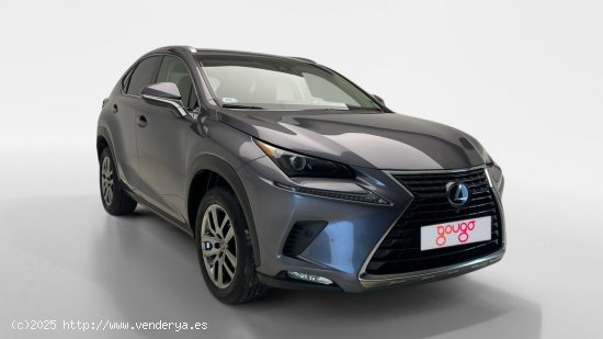 Lexus NX 300h EXECUTIVE NAVIGATION 4WD AUTO 2.5 197 5P - Torrevieja