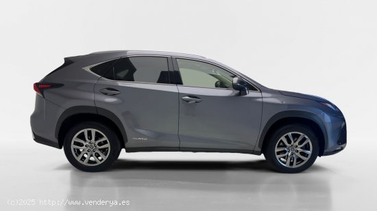 Lexus NX 300h EXECUTIVE NAVIGATION 4WD AUTO 2.5 197 5P - Torrevieja