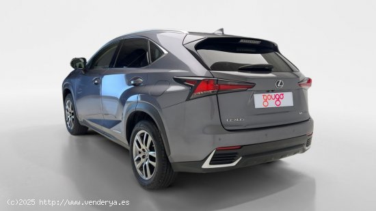 Lexus NX 300h EXECUTIVE NAVIGATION 4WD AUTO 2.5 197 5P - Torrevieja