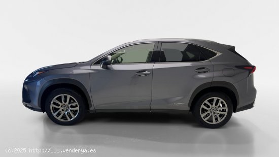 Lexus NX 300h EXECUTIVE NAVIGATION 4WD AUTO 2.5 197 5P - Torrevieja