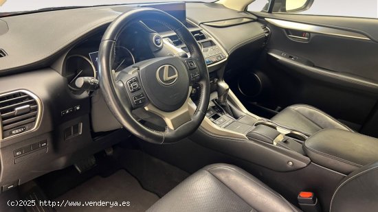 Lexus NX 300h EXECUTIVE NAVIGATION 4WD AUTO 2.5 197 5P - Torrevieja