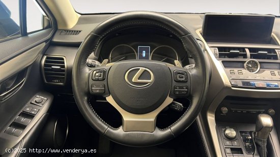 Lexus NX 300h EXECUTIVE NAVIGATION 4WD AUTO 2.5 197 5P - Torrevieja