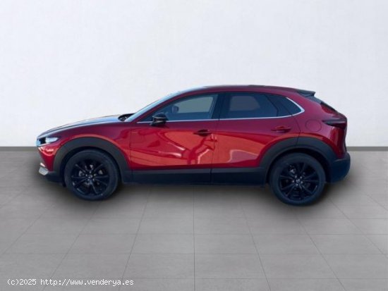 MAZDA CX-30 en venta en Teruel (Teruel) - Teruel