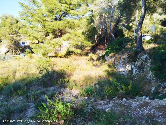 Estupendo terreno en Mas Romeu - TARRAGONA