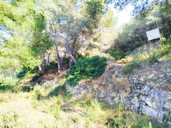 Estupendo terreno en Mas Romeu - TARRAGONA