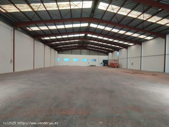 NAVE 1200 M2 POLIGONO INDUSTRIAL CREVILLENTE - ALICANTE