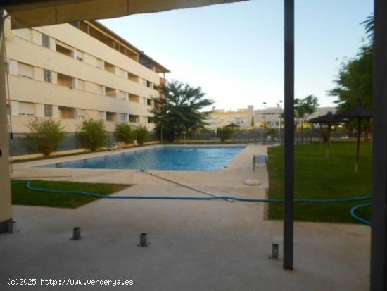  ALQUILER PISO SIN AMUEBLAR CON PISCINA Y PISTAS DE PADEL EN MAIRENA DEL ALJARAFE - SEVILLA 