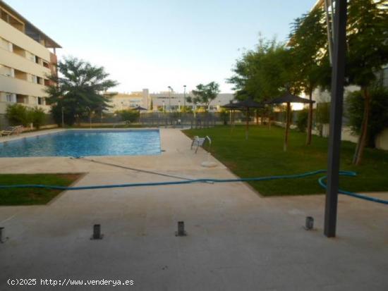 ALQUILER PISO SIN AMUEBLAR CON PISCINA Y PISTAS DE PADEL EN MAIRENA DEL ALJARAFE - SEVILLA