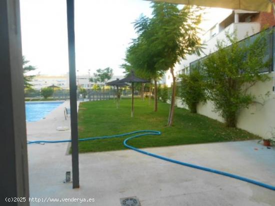 ALQUILER PISO SIN AMUEBLAR CON PISCINA Y PISTAS DE PADEL EN MAIRENA DEL ALJARAFE - SEVILLA