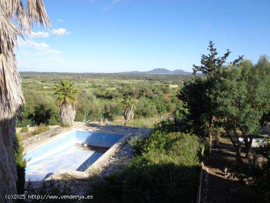 CASA EN VENTA EN SES OLLERIES , SANTA EUGENIA - BALEARES