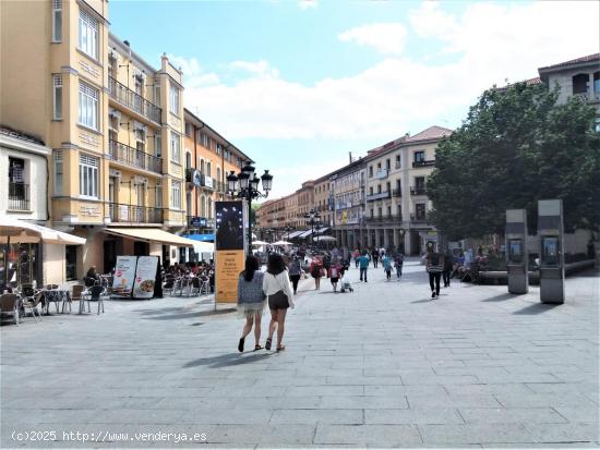 ALQUILER.-.LOCAL.-.AVENIDA DEL ACUEDUCTO - SEGOVIA