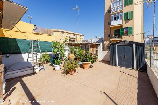 Planta baja techo libre con 3 habitaciones y vestidor. - BALEARES