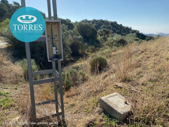  Terreno en Almogía - MALAGA 