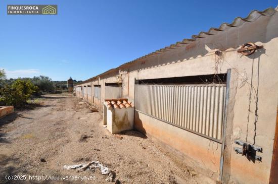 En Alquiler Granja en la Zona de Johnny Montañes, de 800 m2 para almacenaje - TARRAGONA