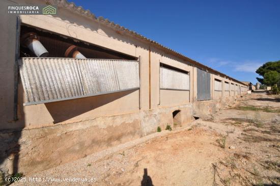 En Alquiler Granja en la Zona de Johnny Montañes, de 800 m2 para almacenaje - TARRAGONA