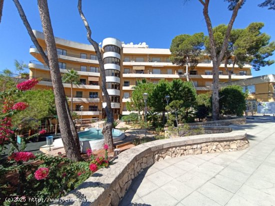  Apartamento en alquiler en Moraira (Alicante) 