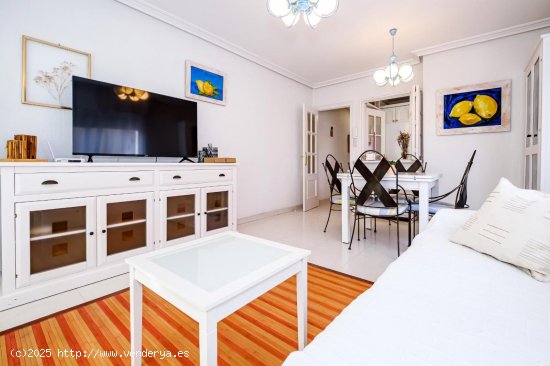  Apartamento en alquiler en Torrevieja (Alicante) 