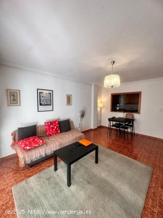 Apartamento en venta en Torrevieja (Alicante)