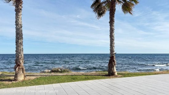 Apartamento en venta en Torrevieja (Alicante)