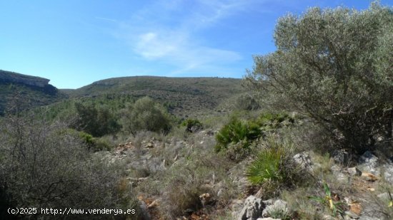 Parcela en venta en Benigembla (Alicante)