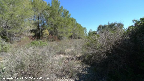 Parcela en venta en Benigembla (Alicante)