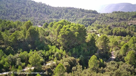 Parcela en venta en Orba (Alicante)