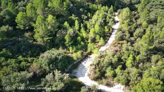 Parcela en venta en Orba (Alicante)