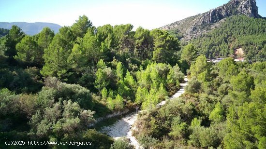 Parcela en venta en Orba (Alicante)