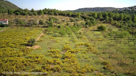 Parcela en venta en San Juan de Alicante (Alicante)