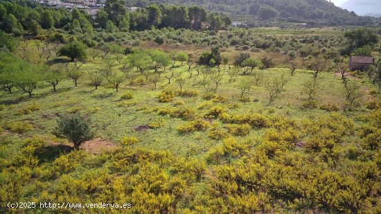 Parcela en venta en San Juan de Alicante (Alicante)