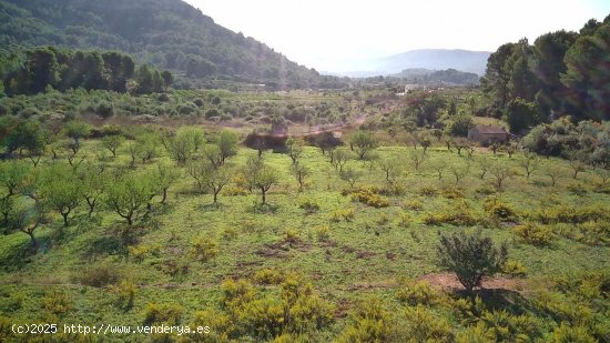 Parcela en venta en San Juan de Alicante (Alicante)