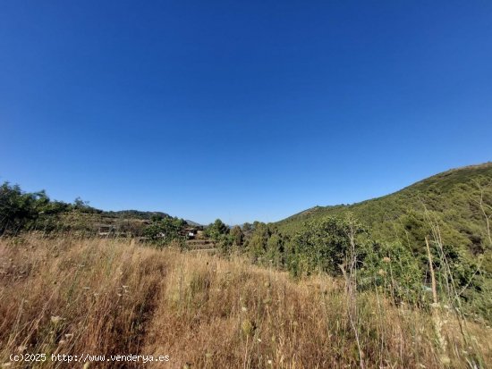 Parcela en venta en Jalón (Alicante)