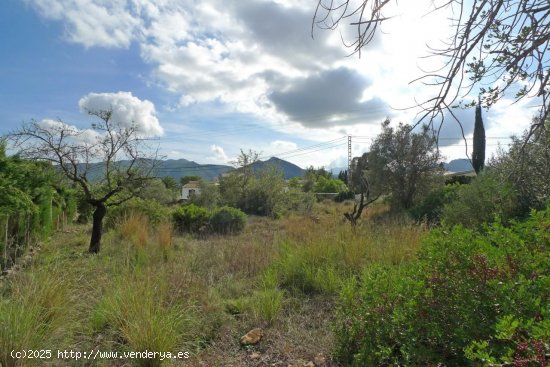 Parcela en venta en Jalón (Alicante)