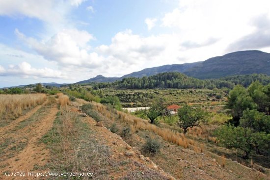 Parcela en venta en Murla (Alicante)