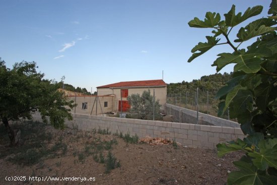 Finca en venta en Murla (Alicante)