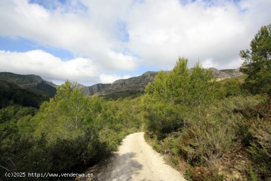 Parcela en venta en Pedreguer (Alicante)