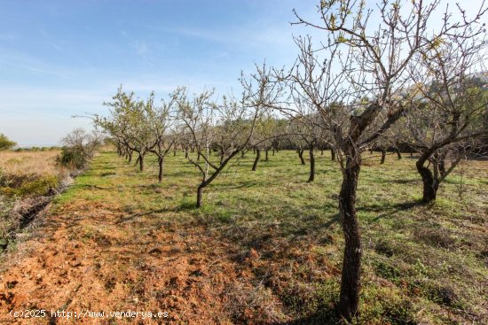 Parcela en venta en Orba (Alicante)