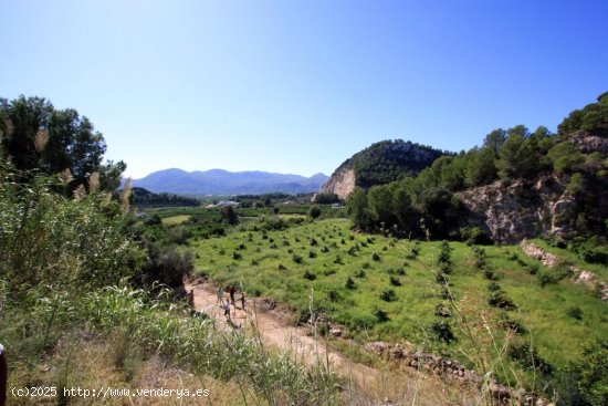 Parcela en venta en Pego (Alicante)