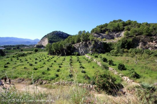 Parcela en venta en Pego (Alicante)