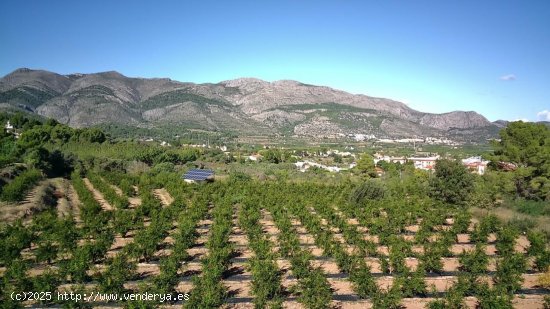 Parcela en venta en Orba (Alicante)